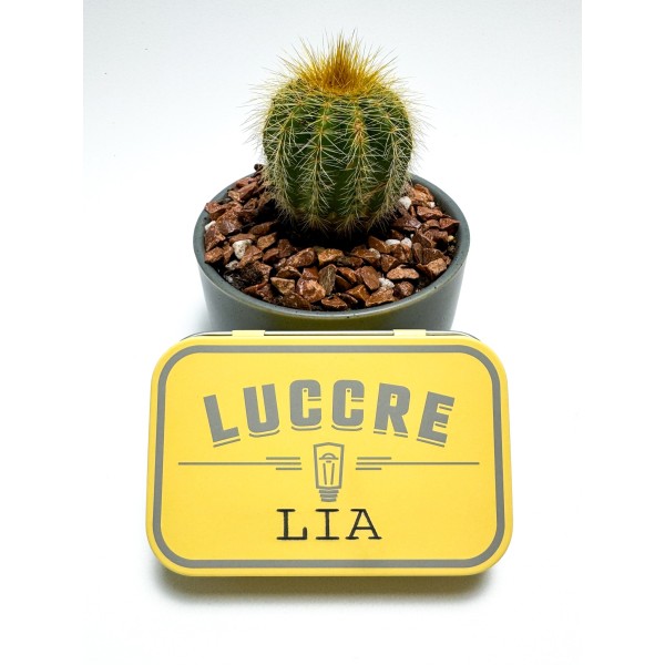 Pulsera decenario verde botella