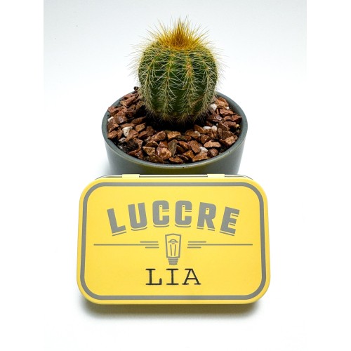 Pulsera decenario rosa rojo